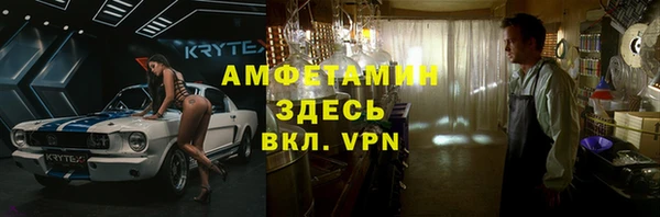 бошки Белокуриха