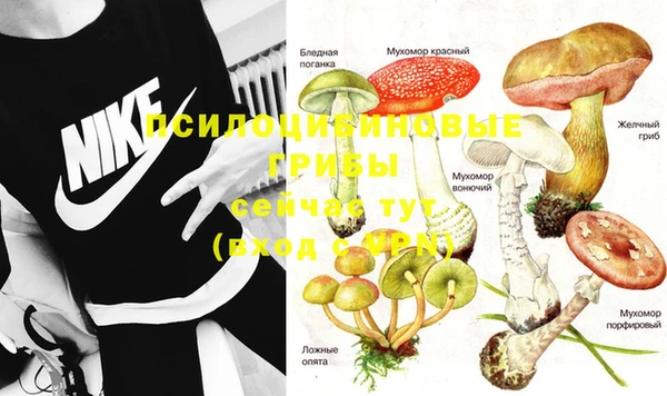 экстази Богородицк