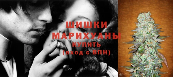 apvp Богданович