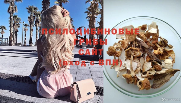 apvp Богданович